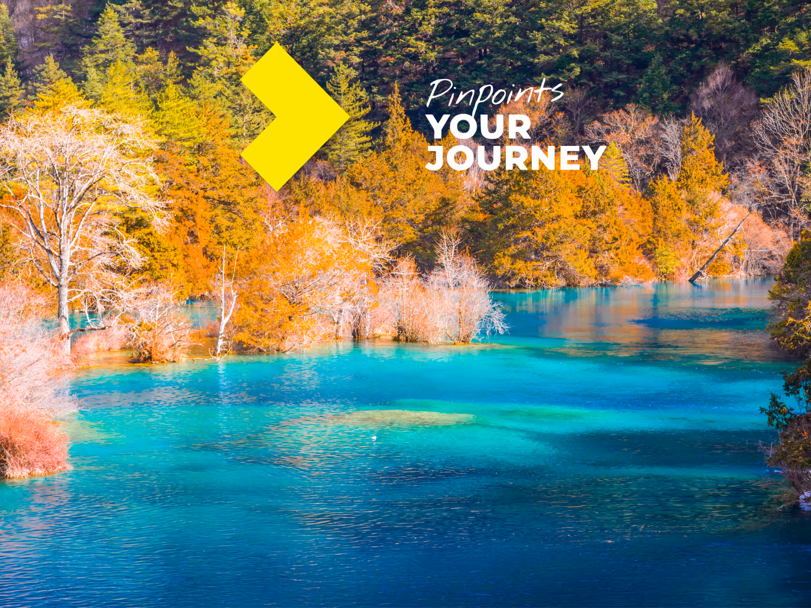 Texpert Travel — book flights, hotels, cruises and tour packages online worldwide