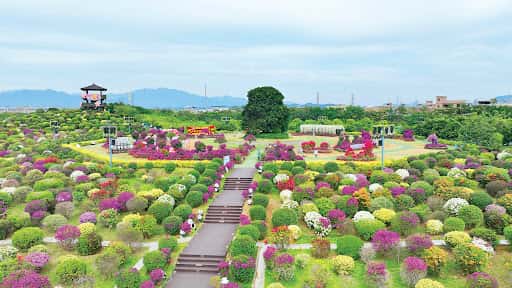 YAHA02R